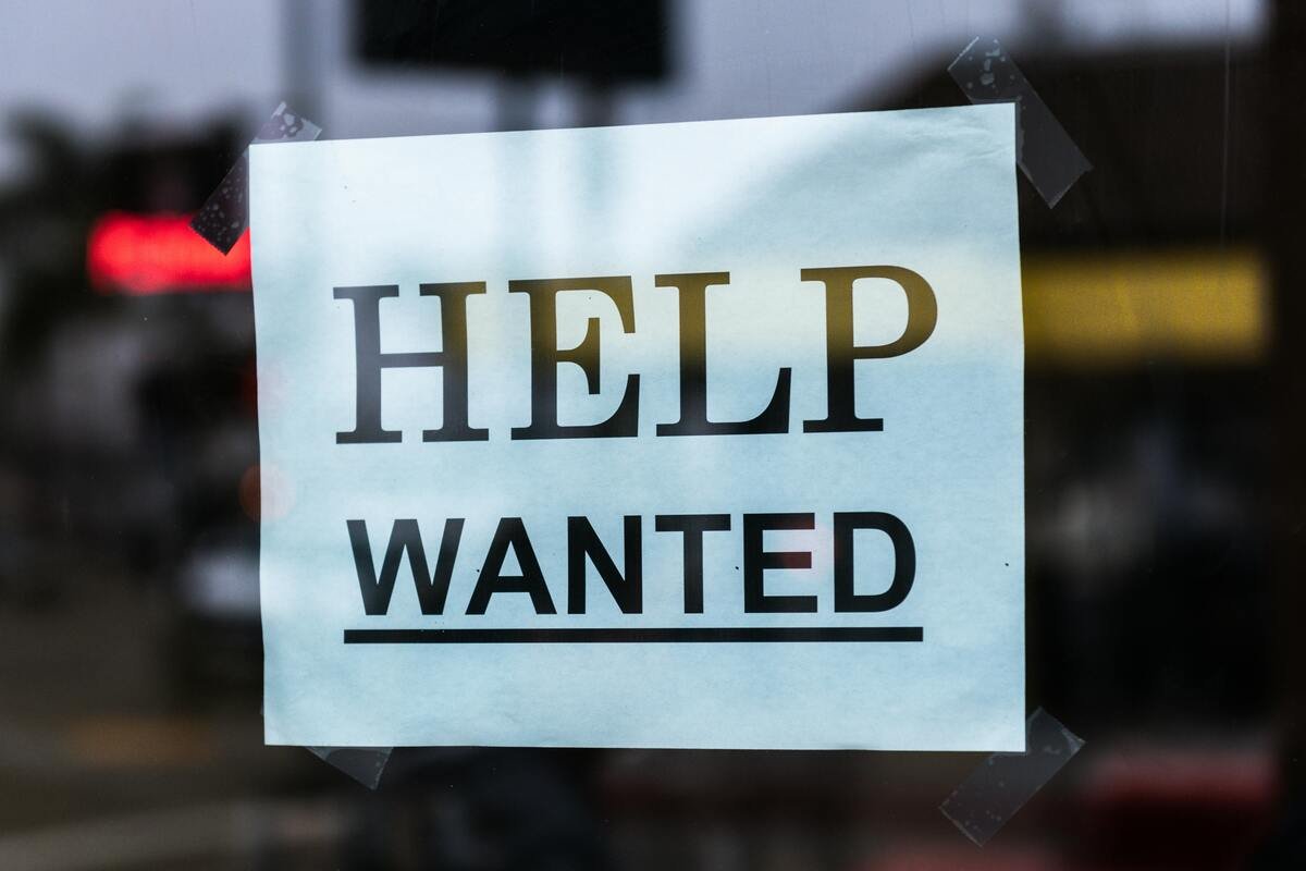 Spring Is the Best Time to Look for a Job: Employers Are Actively Hiring